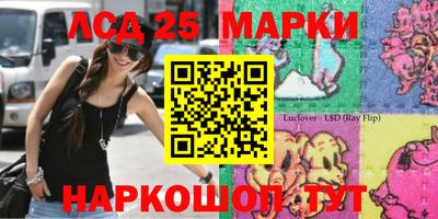 ГАЛЛЮЦИНОГЕННЫЕ ГРИБЫ Нальчик