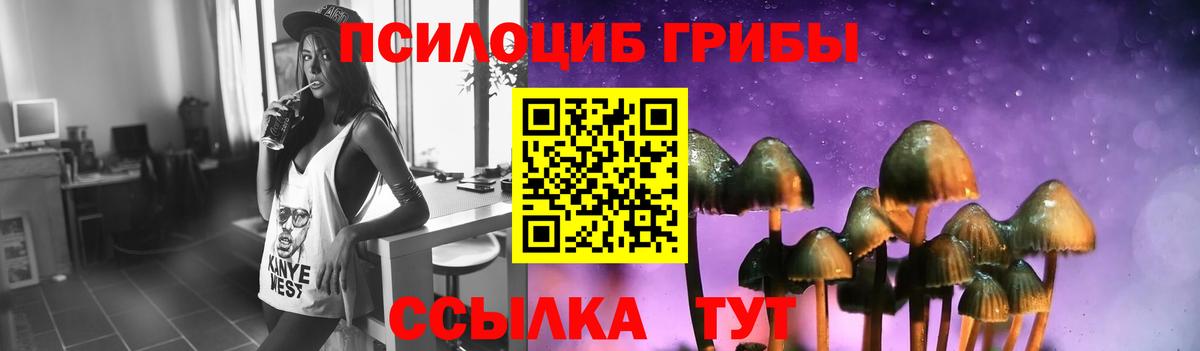 Чехов  Галлюциногенные грибы Psilocybine cubensis  Галлюциногенные грибы Cubensis  Вход с VPN 